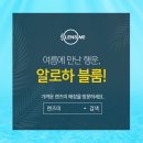 알로하플라워 이미지