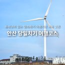 대부황금로1R | 경기도 당일치기 여행 가볼만한곳 안산 대부도 방아머리해변 포함 코스 추천