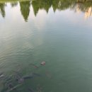 판소리예술단소리화 | 무료로 12월까지 화~토 오후 5시에 매일매일 한다고? 광주의 퀄리티 갑 국악공연관람 후기 및 7월 공연정보