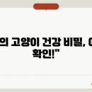 더좋은 동물병원 이미지