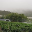 병이농장 이미지