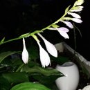 시골별장 이미지