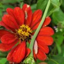 서희농장 이미지