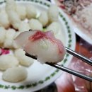 거북상회 네이버블로그