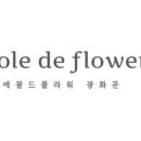 밝은햇살담은
