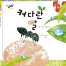다섯콩 이미지
