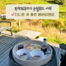 워시뷰 | 뉴질랜드 남섬 여행 더니든 숙소 추천 북유럽 감성 뷰 좋은 에어비앤비