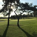 인천국제골프연습장 이미지