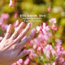 신데렐라네일