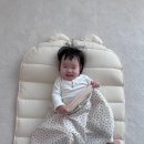 하이주
