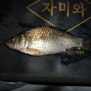 중방지 이미지