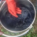 여가농장 이미지