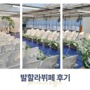 평택출장뷔페로 완성된 야외결혼식, 발할라뷔페 후기