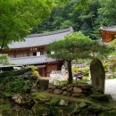 계룡산건강원