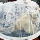 김떡순튀어라 네이버블로그