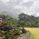 꽃뱅이정원 | [경북 봉화] 꽃뱅이 정원 펜션 백두대간 수목원 근처 펜션