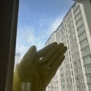 해솔마을7단지 롯데캐슬 | 파주 해솔마을 7단지 롯데캐슬 아파트 창문 청소 후기 | 샷시 롤러 하자를 확인하는 방법