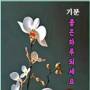 검은구기자(黑枸杞子, 블랙 구기자) 이미지