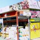 현대홈마트 이미지