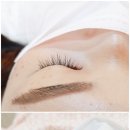 도나래쉬프로