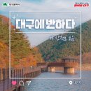 🍂대구 산책로에 반하다 📍내관지 📍봉무공원📍해맞이동산 별빛산책로 이미지