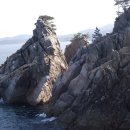 조*대 Daum카페