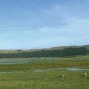 종인목장 이미지