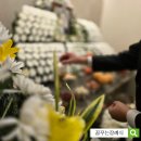 강남구 장례식장(정보) 삼성서울병원장례식장 마지막 인사