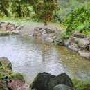 포레스트밸리 이미지