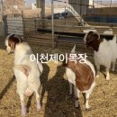 제이목장 이미지