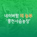 풍천사슴농장 이미지