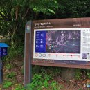 492 | 경기 안성 칠장산(492m) 7인의 도적과 7인의 현자 이야기의 명품 숲길(2026.6.18)