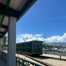 경보사우나센터 | 2510 하와이 여행 #6. 도시로 가자