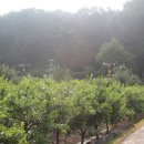 장암 장하리사지 이미지