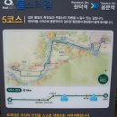 월성 마을 (용문마을회관방면) | 원덕역, 흑천, 용문역 라이딩- ( 2024.06.09 )