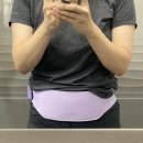 내돈내산| EMS 다이어트 발란스핏 사용후기