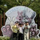 5월 2주) 인천 대공원 봄소풍🌷💚 이미지