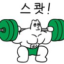 오버롤짐(overall gym) 네이버블로그