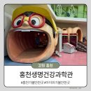 아리생명과학 | [강원 홍천] 홍천생명건강과학관 요금 실내 아이와 가볼만한 곳