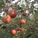 보현농장 이미지