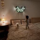 인디무드 이미지