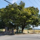 광양농협미곡종합처리장 이미지