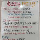 송조농원 | 극한직업 밥주는 민박집 청양 송조농원 위치·가격·예약 방법 총정리