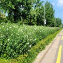 위례성대로 이미지