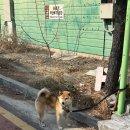 아포종합의원 이미지