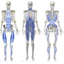 세븐티식스 퍼스널트레이닝 이미지