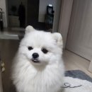 참내~ 이뻐라 하며 봐줬더니 이미지