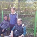 행주초등학교 이미지