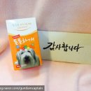 이루다컴퍼니 이미지