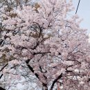 대구힐탑호텔 이미지